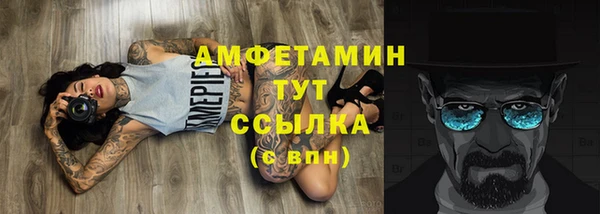 сатива Осташков