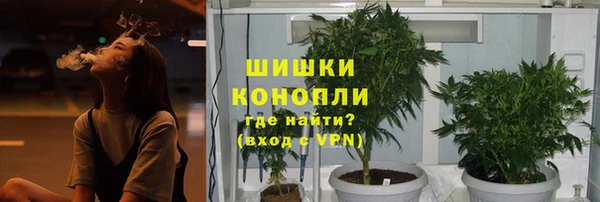 сатива Осташков