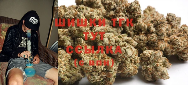 сатива Осташков