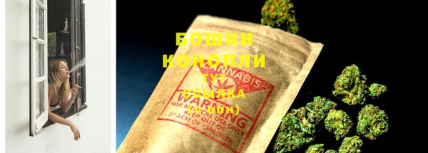 сатива Осташков