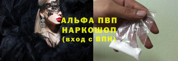 сатива Осташков