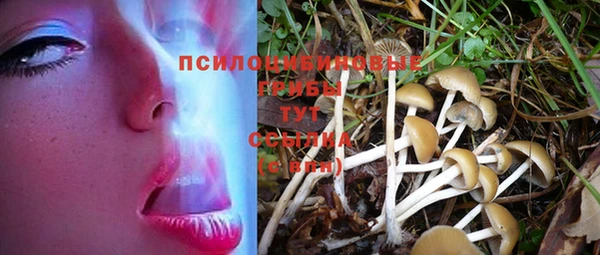 мет Осинники