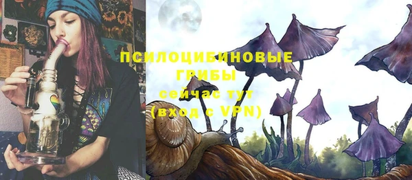 сатива Осташков